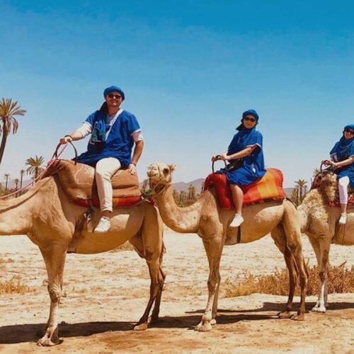 CAMEL RIDE IN MARRAKECH