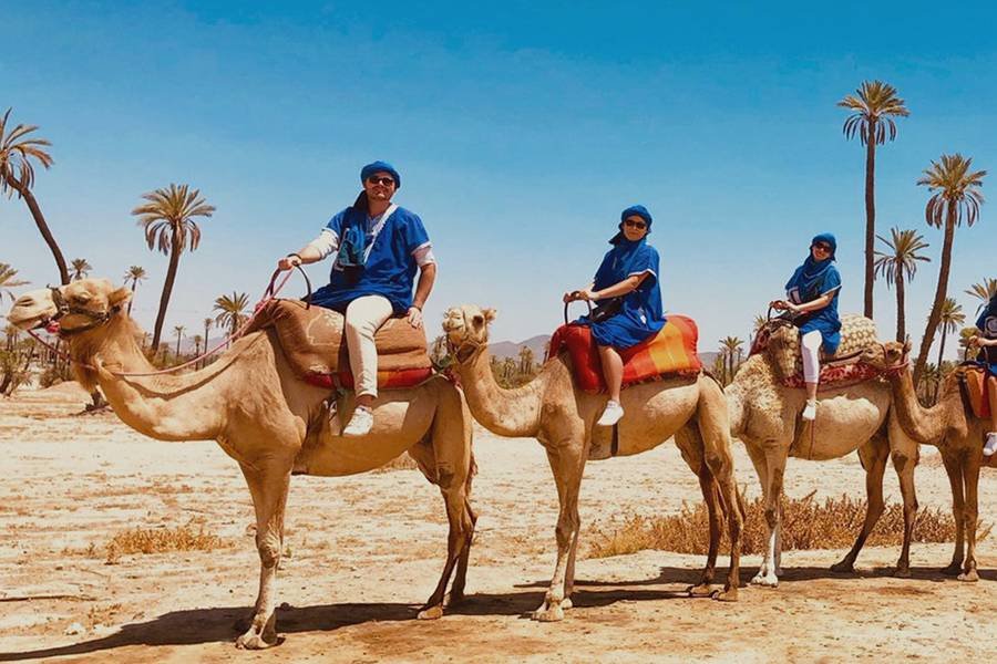 CAMEL RIDE IN MARRAKECH