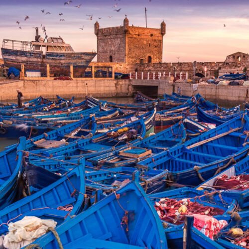 Excursion d'une journée à Essaouira