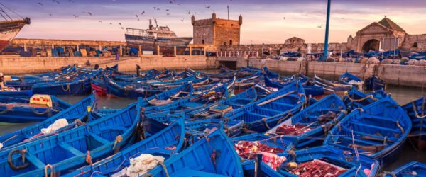 Excursion d'une journée à Essaouira