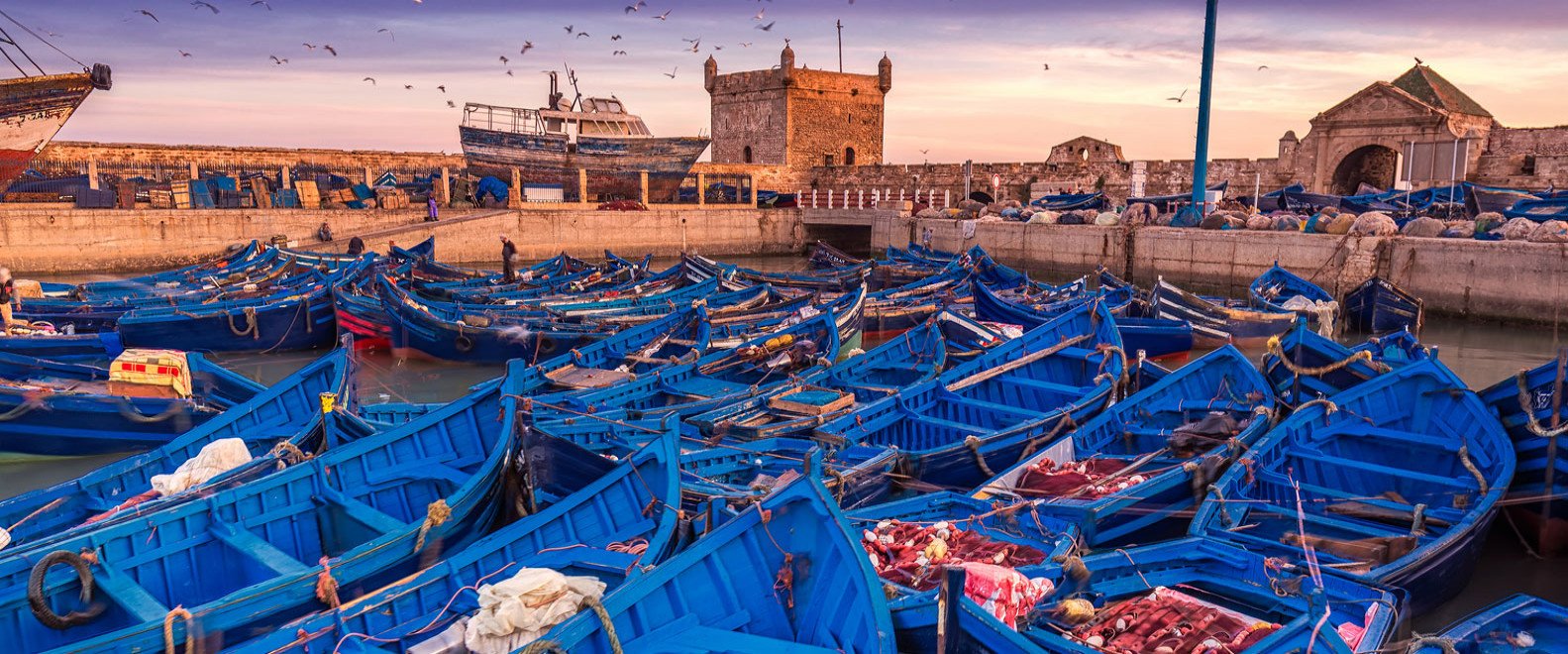 Excursion d'une journée à Essaouira