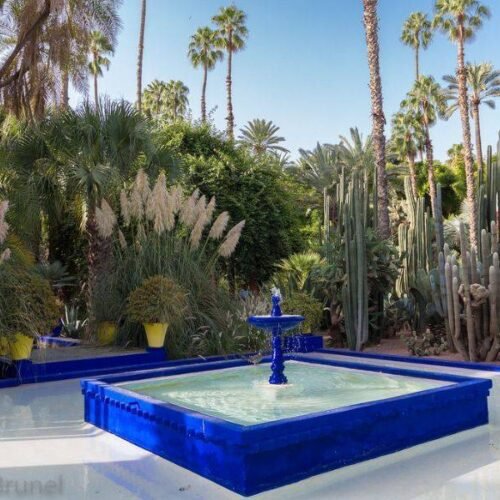 Excursion en calèche et visite du jardin Majorelle