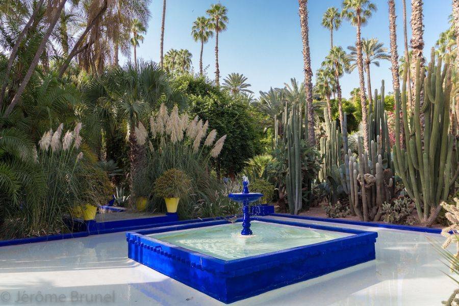 Excursion en calèche et visite du jardin Majorelle