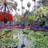 Excursion en calèche et visite du jardin Majorelle