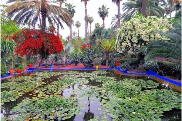 Excursion en calèche et visite du jardin Majorelle